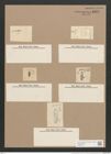 Navicula bacilliformis Grun. (de-Toni-Nr.: Genus 1, Species 579) Zeichnungen Sammlung Grunow Nr. 1154 (NHMW-BOT-W0367742)